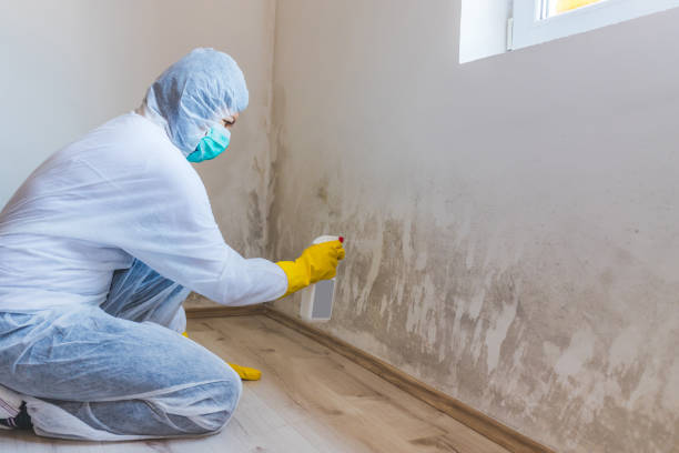 Licensed Commercial Mold Remediation service in Annapolis, MD - WQB Mold Removal