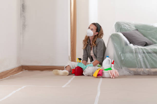 Reliable Commercial Mold Remediation contractor in Annapolis, MD by WQB Mold Removal