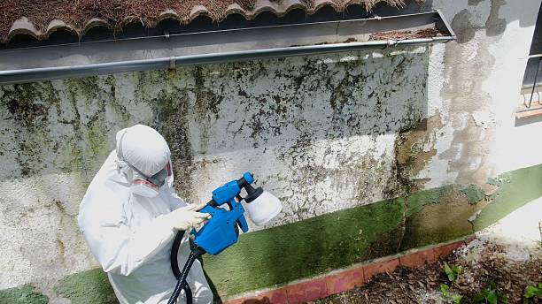 Top rated local Commercial Mold Remediation specialists in Annapolis, MD